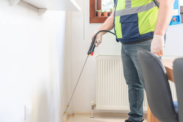 Best Termite Control Services  in West Union, IA